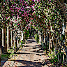 Seaden Sea World Resort & Spa